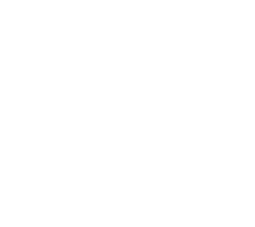 B-Line (비라인)